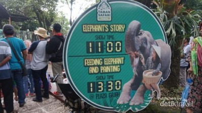 6 Show Wajib Saat Plesir ke Taman Safari II Prigen