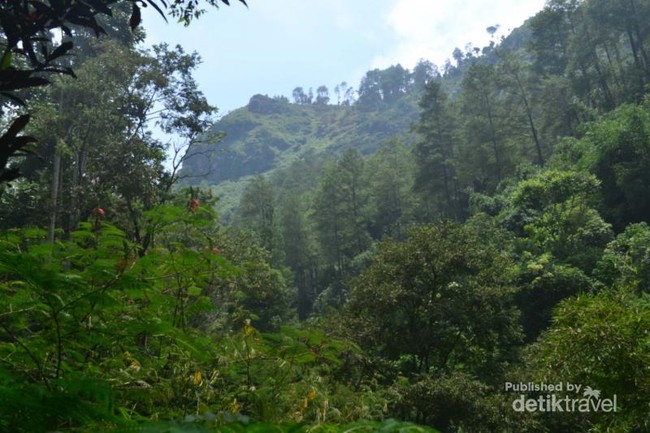 Ada Air Terjun Secantik Ini di Kawasan Dago Atas, Bandung