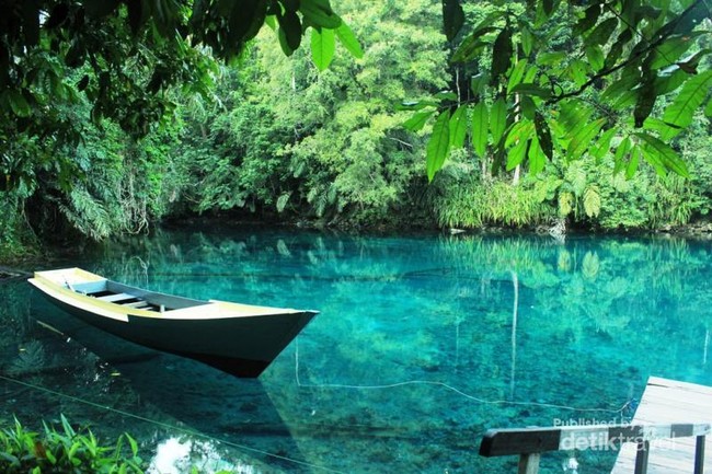 Ada Danau Ajaib di Berau, Kaltim