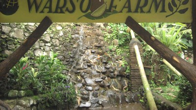 Ada Durian Raksasa di Warso Farm, Bogor