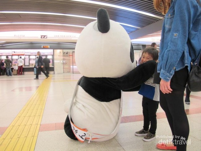 Ada Panda Lepas di Stasiun Namba, Jepang!