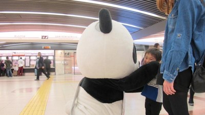 Ada Panda Lepas di Stasiun Namba, Jepang!