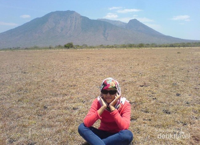 Africa Van Java Ada di Situbondo