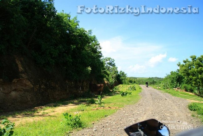 Afrika? Bukan Ini Jalan di Lombok