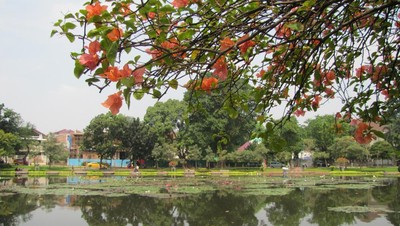 Aiih! Liburan Tenang di Taman Situ Lembang