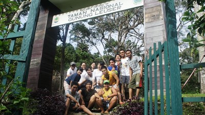 Aiih! Lucunya Tingkah Orangutan di Gunung Leuser