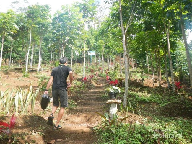 Air Terjun Penuh Kenangan di Kaki Gunung Dempo