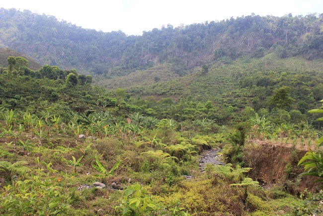Air Terjun Tancak, Kenyamanan Tiada Dua di Jember