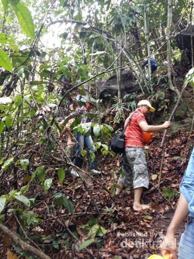 Air Terjun Tersembunyi di Kutai Timur