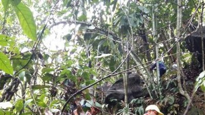 Air Terjun Tersembunyi di Kutai Timur