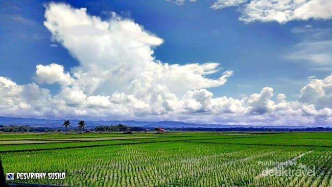 Akhir Pekan, Asyiknya Memang ke Pangandaran