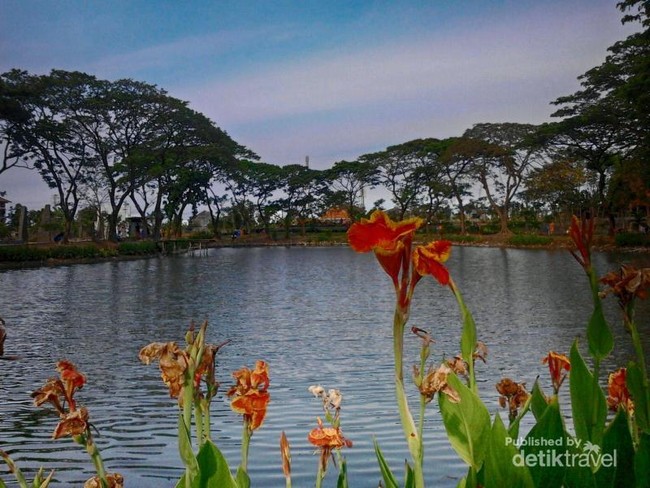 Akhir Pekan Bareng Keluarga di Kebun Bibit Wonorejo