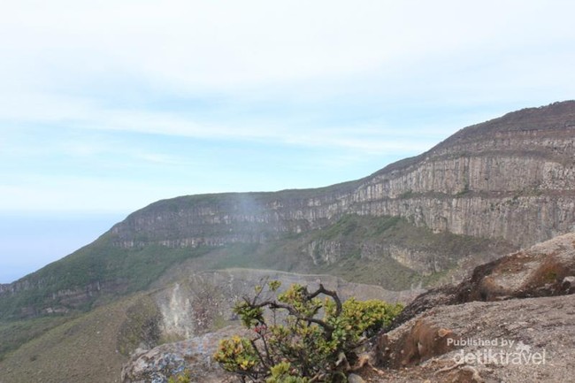 Akhir Pekan Seru Mendaki Gunung Gede