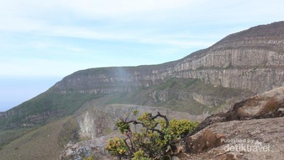 Akhir Pekan Seru Mendaki Gunung Gede