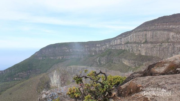 Akhir Pekan Seru Mendaki Gunung Gede