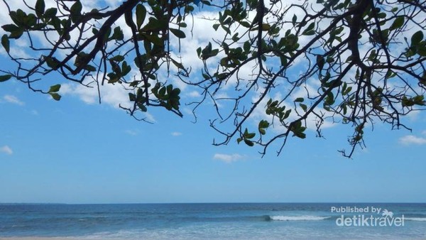 Pantai dengan pasir putih dan ombak yang tenang menjadi data tarik tersendiri. Sementara pepohonan di tepi pantai menjadi peneduh di siang hari yang terik. Pantai dengan pasir putih dan ombak yang tenang menjadi data tarik tersendiri. Sementara pepohonan di tepi pantai menjadi peneduh di siang hari yang terik.
