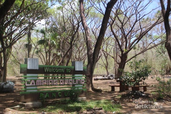 Di Taman Nasional Alas Purwo juga terdapat camping ground dengan monyet liar yang dapat kita jumpai dengan mudah. Di Taman Nasional Alas Purwo juga terdapat camping ground dengan monyet liar yang dapat kita jumpai dengan mudah.