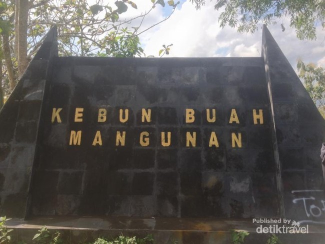 Amazon? Bukan, Ini Sungai Oya di Kabupaten Bantul