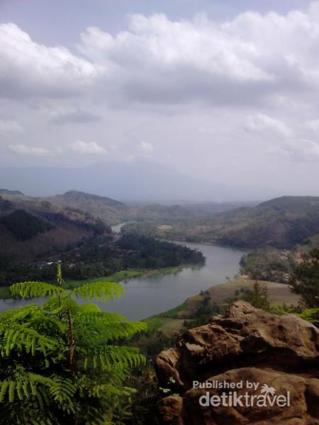 Amazon? Bukan, Ini Sungai Serayu di Banyumas
