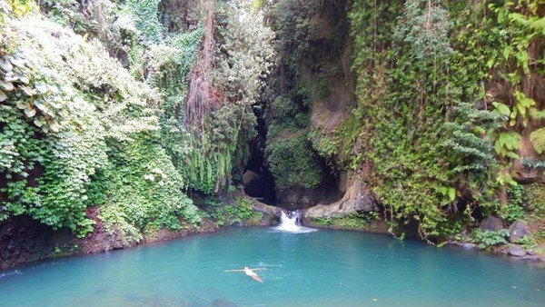 Aneka Air Terjun Eksotis di Bali