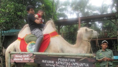 Aneka Koleksi Satwa Lucu di Royal Safari Garden, Bogor