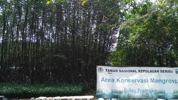 Aneka Potensi Pulau Pramuka Jakarta, Ini Potretnya