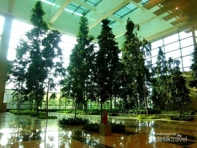 Asrinya Pepohonan di Bandara Changi, Singapura