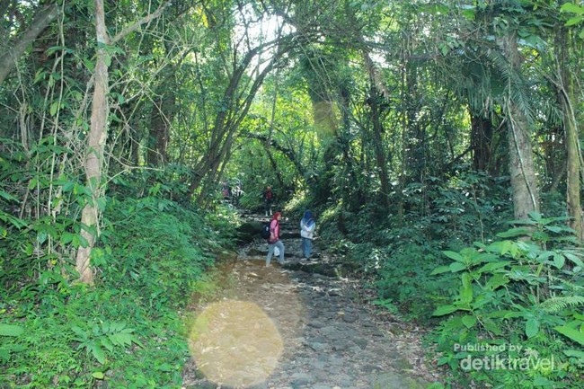 Asrinya Suasana di Curug Cibeureum