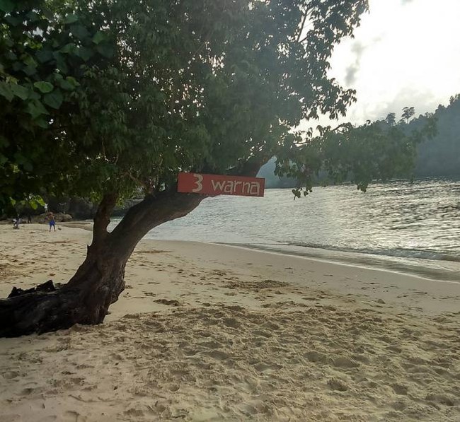 Asyik! Snorkeling di Pantai Tiga Warna Malang