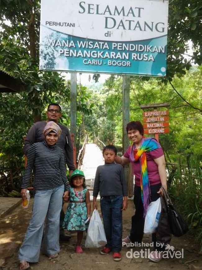 Asyiknya Bermain dengan Rusa di Bogor