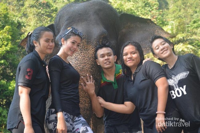 Asyiknya Main Dengah Gajah di Tangkahan, Sumatera Utara