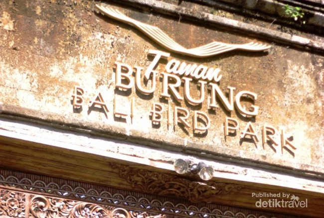 Atraksi Burung Lucu di Bali Bird Park