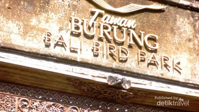 Atraksi Burung Lucu di Bali Bird Park