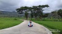 Menikmati hamparan sawah di Pronosutan