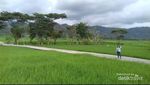 Bali Punya Ubud, Yogyakarta Punya Oebud Van Jogja
