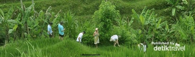 Bali, Surganya Tempat Liburan