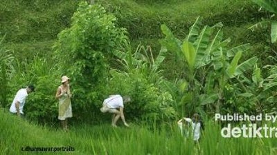Bali, Surganya Tempat Liburan