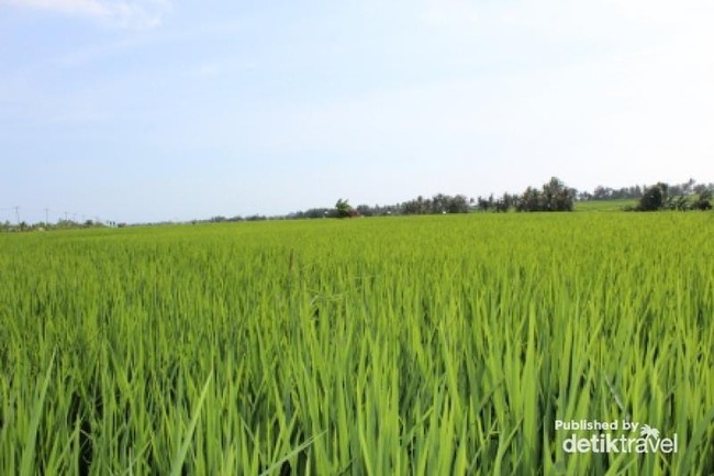 Bali yang Selalu Dirindukan