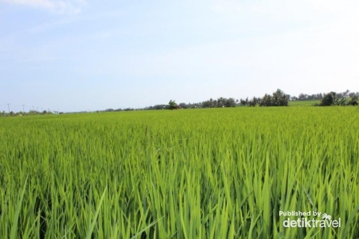 Bali yang Selalu Dirindukan