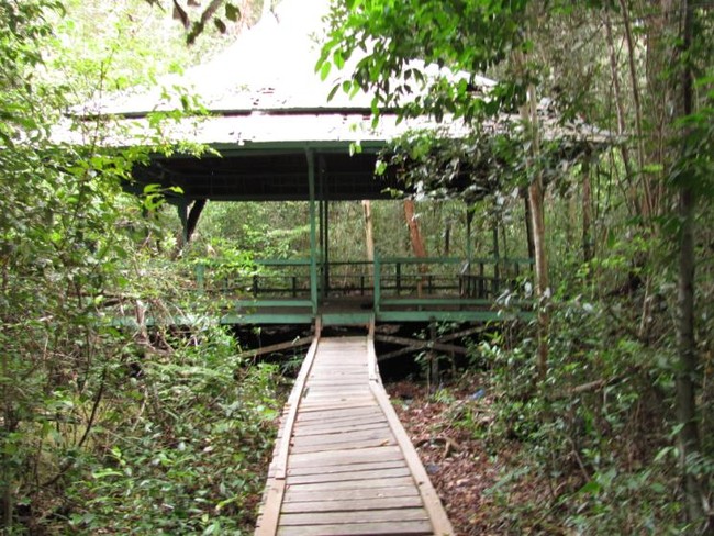 Baning, Wisata Hutan Primer di Tengah Kota