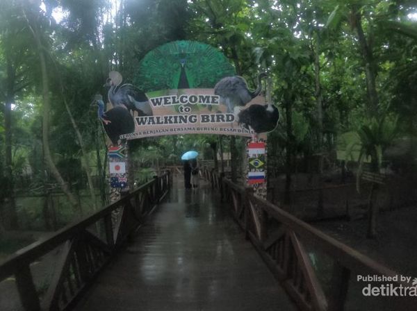 Batu Punya Burung Paling Langka Kedua Sedunia