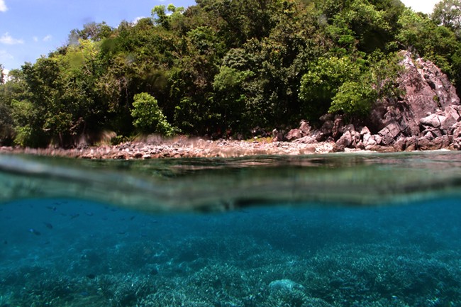 Bawah Laut Filonga Nan Berwarna