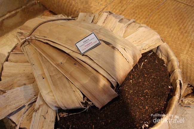 Begini Isi Markas Besar Pabrik Rokok Sampoerna