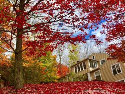 Begitu Cantik Saat Musim Gugur Tiba di Quebec, Kanada