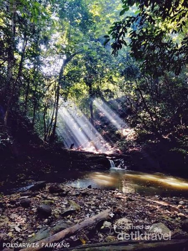 Begitu Eksotis, Ini Sungai Pampang Samarinda