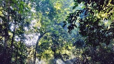 Begitu Eksotis, Ini Sungai Pampang Samarinda