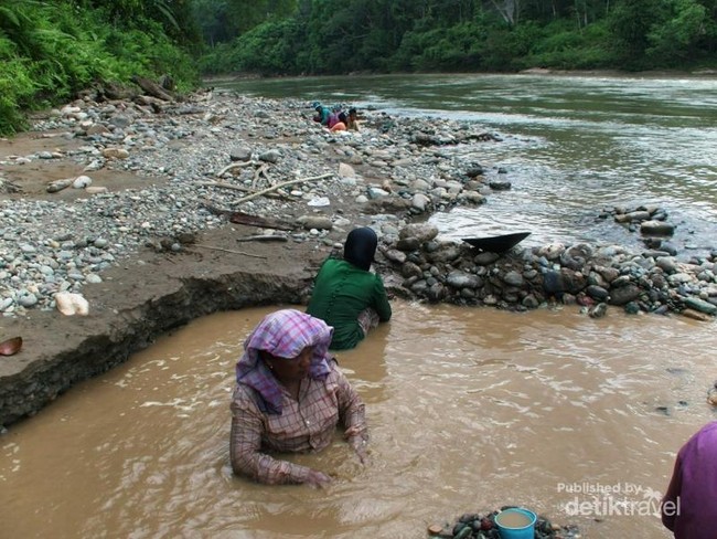 Belajar dari Kegagahan Perempuan Pendulang Emas di Aceh