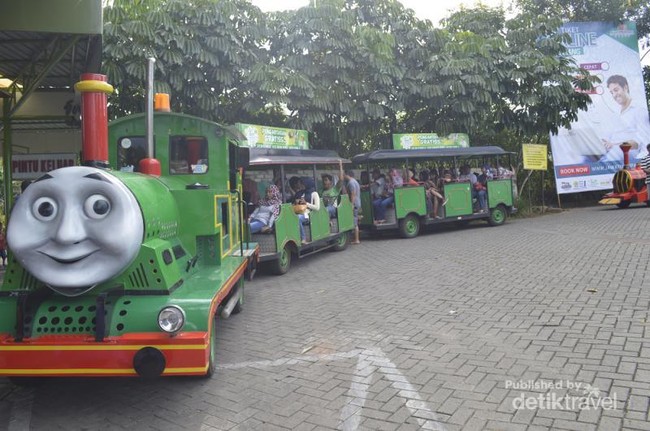 Belajar Sama Serunya dengan Bermain di Eco Green Park Batu