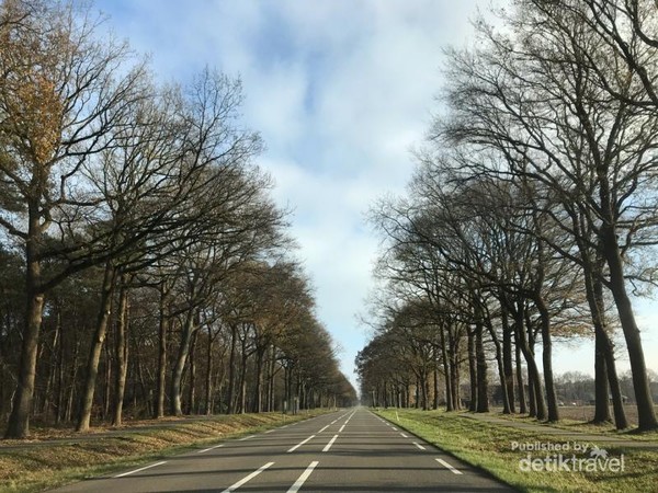 Belanda Saat Ini, Sepi Sampai Masuk RS Pakai Kereta Dorong