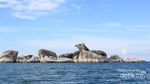 Belitung, Wisata Laut yang Indah dari Sumatera